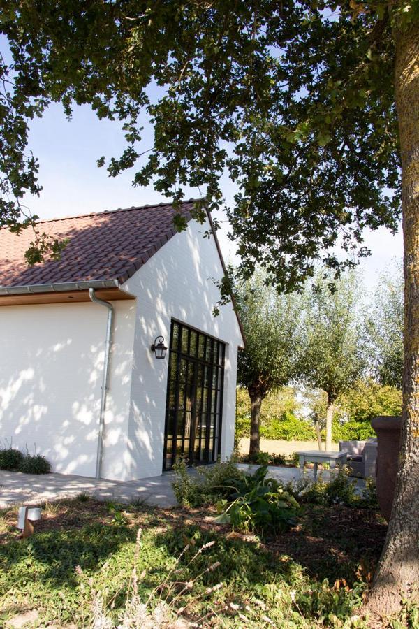 Madelette B&B Moorslede Exteriér fotografie